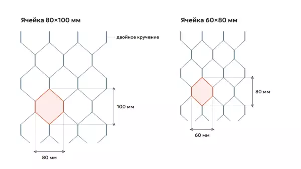Схема ячеек сетки двойного кручения: 80×100 мм и 60×80 мм, двойное кручение проволоки